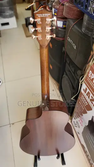 Dream Maker Acoustic Amplified Guitar.