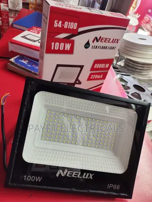 100watts Flood Light