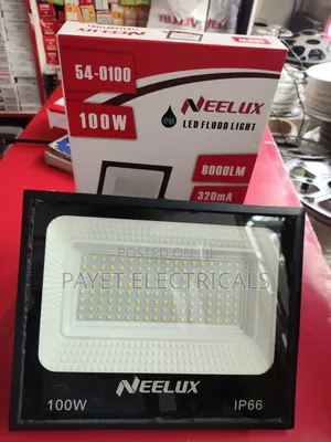 100watts Flood Light
