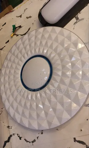 Blue and White Led Ceiling Light