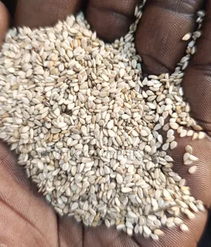 Raw Sesame -Sim Sin - Seeds