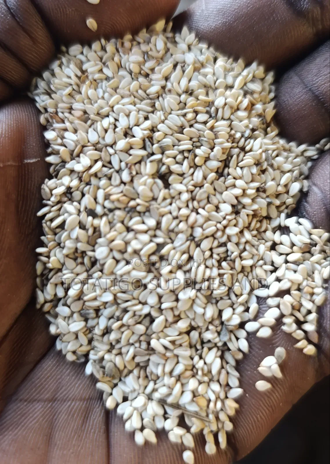 Raw Sesame -Sim Sin - Seeds