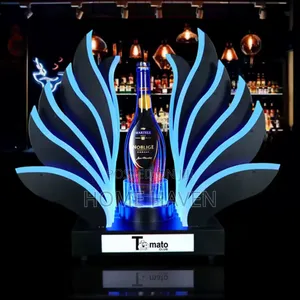 RGB Led Acrylic Champagne Wine Holder