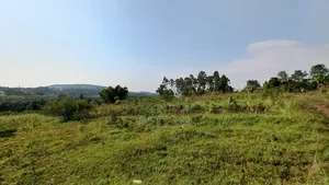 100x100 Plot of Land for Sale at Jungo Nakawuka