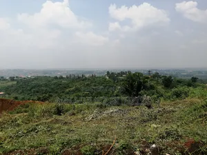 Beautiful Plot