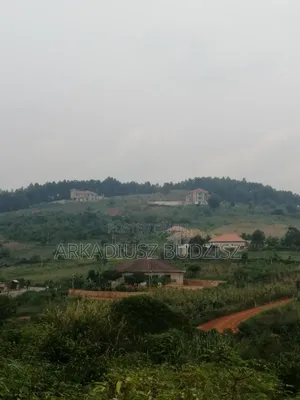 Beautiful Plot