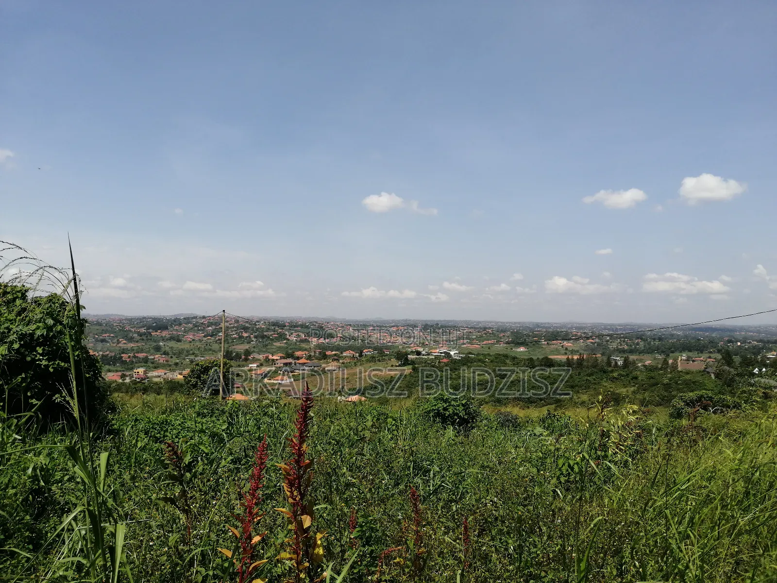 Beautiful Plot