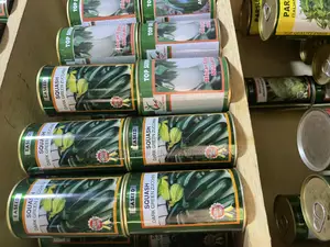 Certified Hybrid Seeds –| High Yield Disease-Resistant