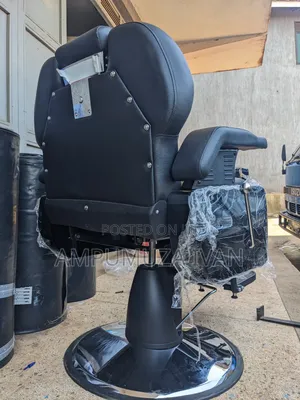 Professional Barber Chair 3311