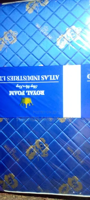 Royal Foam Dulex 6*5*8. Inches