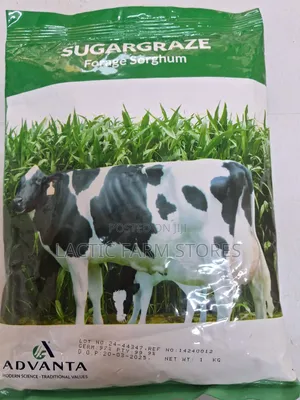 Sugar-Graze Forage Sorghum Hybrid Seeds (1kg)