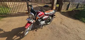 TVS HLX 125 2023 Red