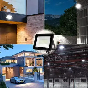 50w Led Flood Light Outdoor - Daylight