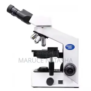 Refurbished Olympus Microscope
