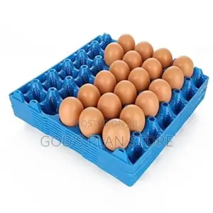 Plastic Eggs Trays Holder Carton 100pcs