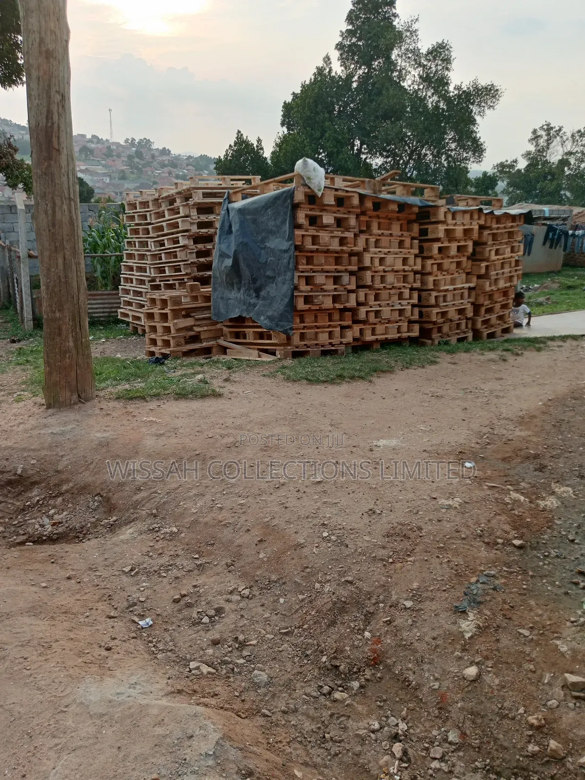 Square Wooden Pallets