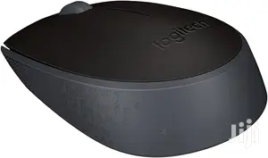 Logitech Wireless Optical Mouse M171