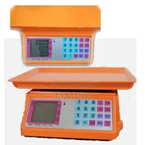 Electronic Price Computing Weighing Scale 40kg