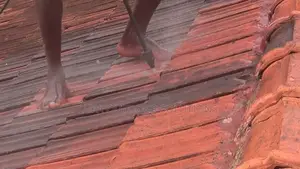 Rooftile Cleaning