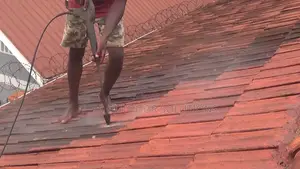 Rooftile Cleaning