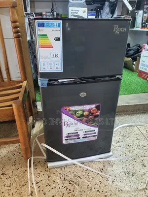 Roch Double Door Fridge