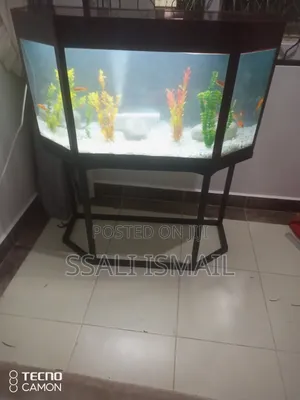 Strong Metallic Stand, Best Glass Thickness Healthy Fish