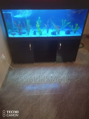 Black and Crystal Clear Nice Aquarium