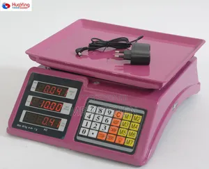 Electronic Computing Scale