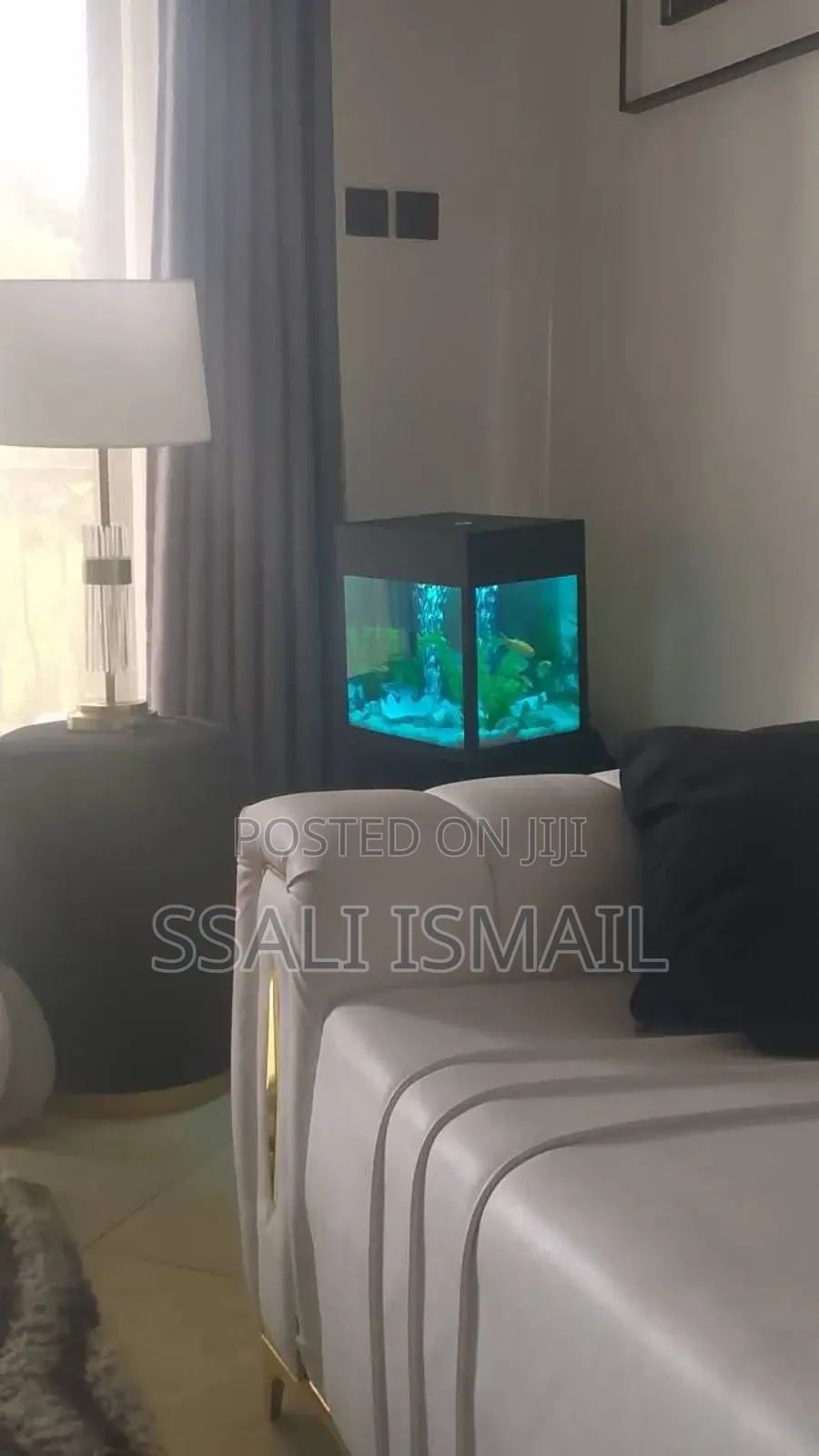 Medium Sized Black Complete Aquarium.