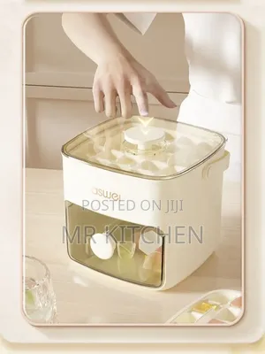 Double Layer Ice Box