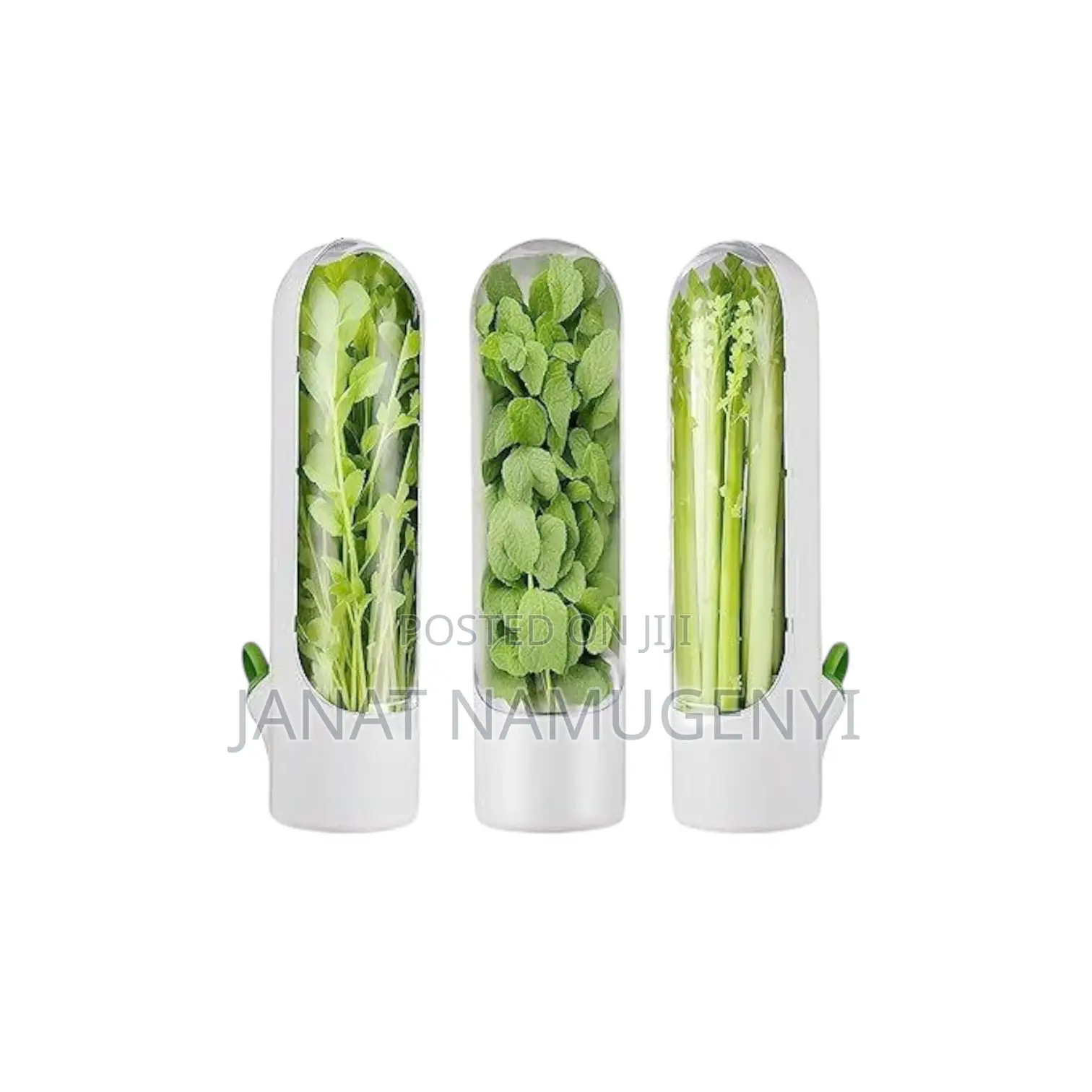 Refrigerator Herb Storage Container