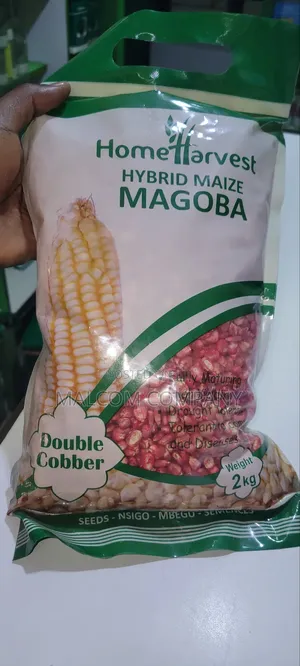 Hybrid Maize Magoba 2kg