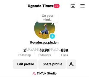 Followers Tiktok Account