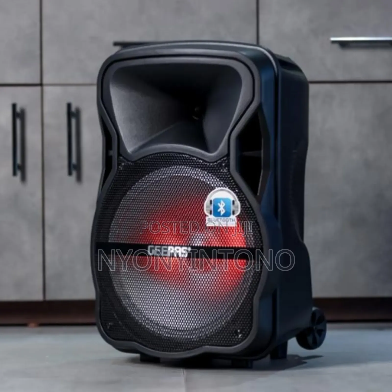 Geepas Professional Public Address System+Microphone Gms8568