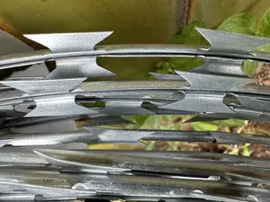 Razor Wire 450 Diameter