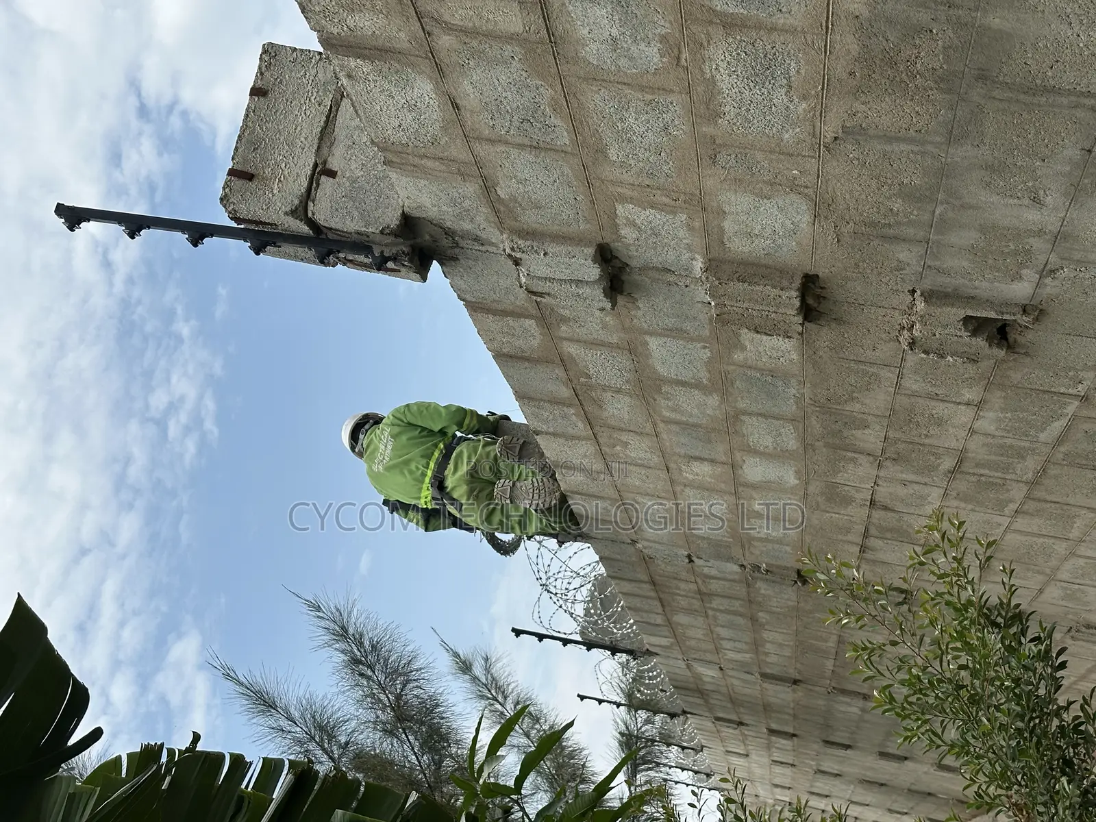 Razor Wire 450 Diameter