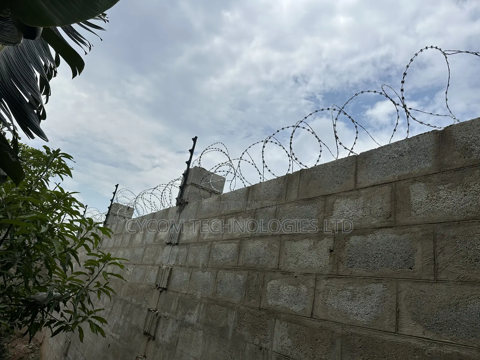 Razor Wire for Sekanyorya
