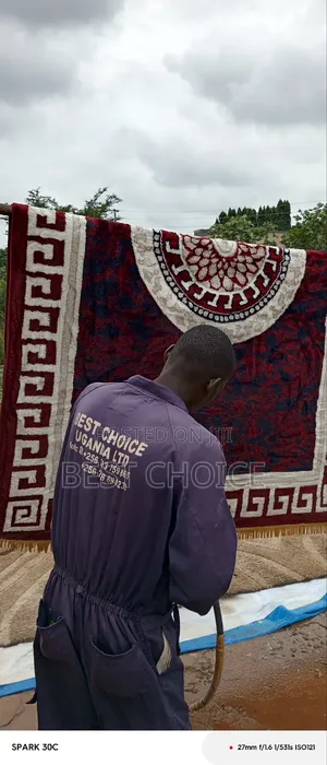 Carpet Cleaning Experts at Your Service