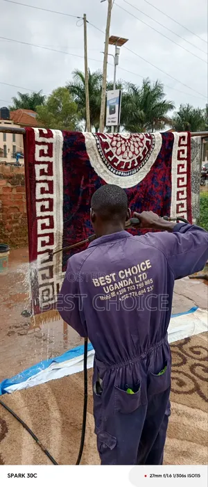 Carpet Cleaning Trusted Professionals.