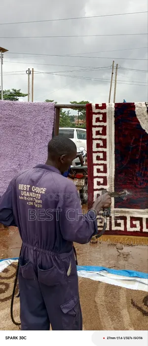 Carpet Cleaning Trusted Professionals.