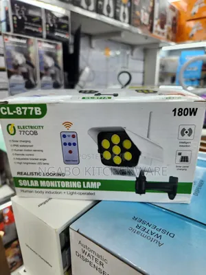 Solar Motion Sensor Lights