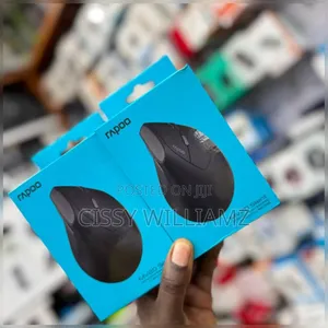 Rapoo Mv20 Ergonomic Wireless Silent Mouse