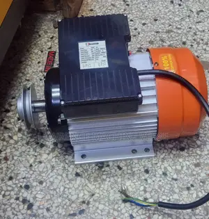 Electric Motor 4 Hose Power