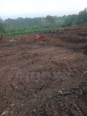 Plot of Land