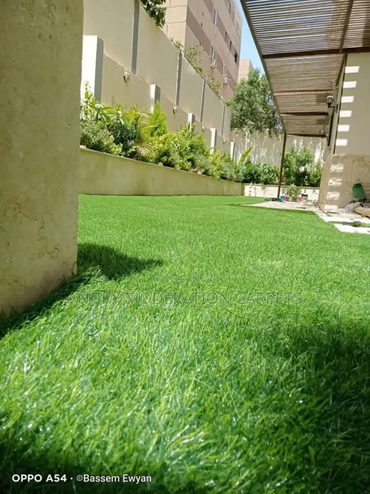 Exercise Grass Carpet