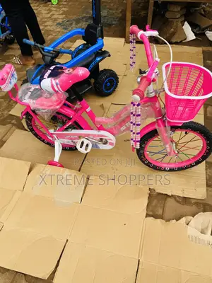 Pink Lady / Bicycle/ Bike / Size 16”