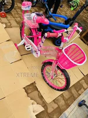 Pink Lady / Bicycle/ Bike / Size 16”