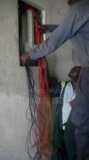 Professional Electricians