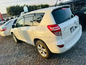 Toyota RAV4 2.5 4x4 2011 White