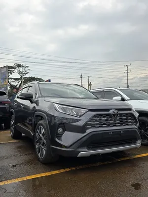 Toyota RAV4 Limited AWD 2020 Gray
